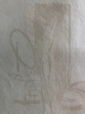 Kees van Dongen - Voor de spiegel 1925 kopen? Bied vanaf 250!