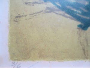 Daniel den Dikkenboer - Vogels 1964. kopen? Bied vanaf 120!