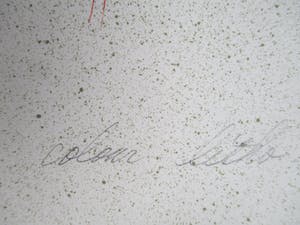 Hisako Viruly Abe - litho kleine oplage kopen? Bied vanaf 35!