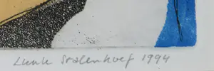 Luuk Stalenhoef - Kleurenets, Te smal voor balans kopen? Bied vanaf 1!