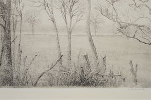 Charles Donker - Winterlanschap in Rhijnauwen, snel dalende kauwen kopen? Bied vanaf 200!