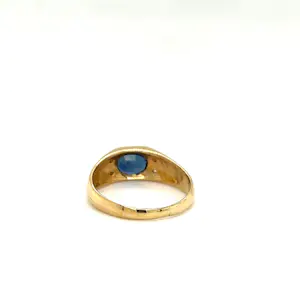 Stilvoller Herrenring in 18 Karat mit feinen Saphir und Brillanten kopen? Bied vanaf 700!