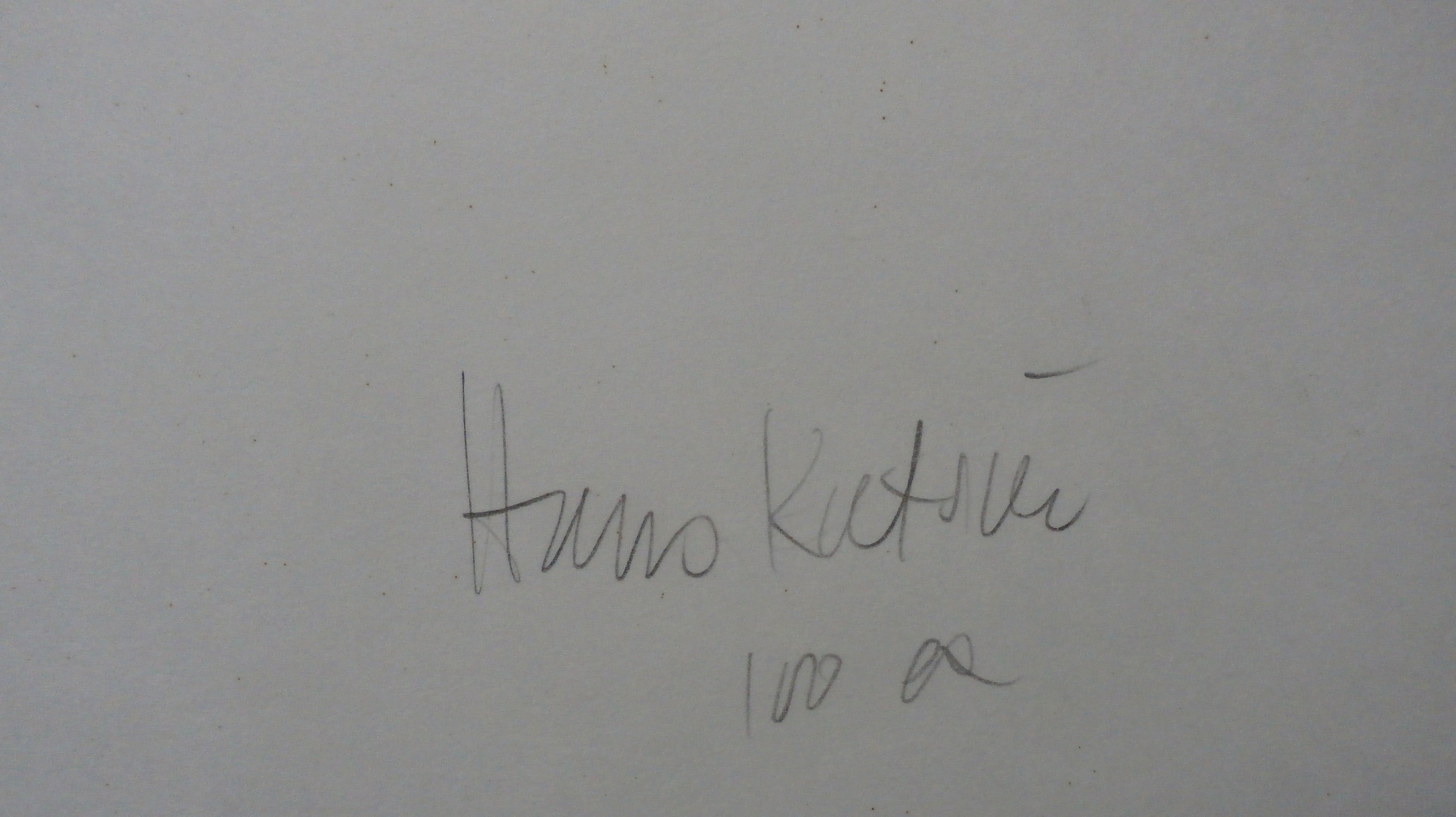 Willem Oorebeek - litho: Polia poliphile - 1981 kopen? Bied vanaf 35!