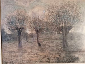 Theo Goedvriend - Knotwilgen in het landschap kopen? Bied vanaf 75!