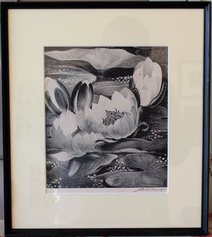 Jan Schonk - Z.t. (Waterlelies) kopen? Bied vanaf 60!