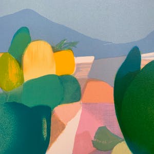 Freddy Defossez - Hauts de mougins kopen? Bied vanaf 25!