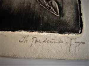 Theo Goedvriend - Bijzondere met Inkt bewerkte Ets "Wild paard" potloodgesigneerd kopen? Bied vanaf 27!