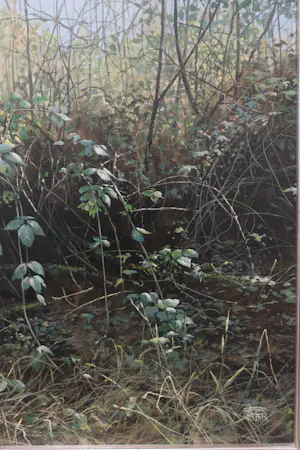 Pieter Verstappen - Das in de natuur kopen? Bied vanaf 400!