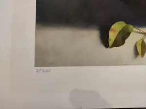 Henk Helmantel - Appels kopen? Bied vanaf 70!