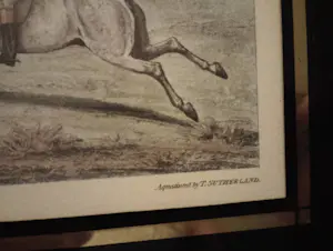 Henry Thomas Alken - Hunting kopen? Bied vanaf 150!