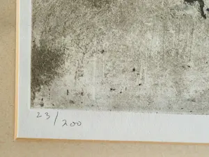 Jan Montyn - een grote Ets/aquatint "Meditation garden" - 1980 - bep. oplage - gesigneerd kopen? Bied vanaf 54!