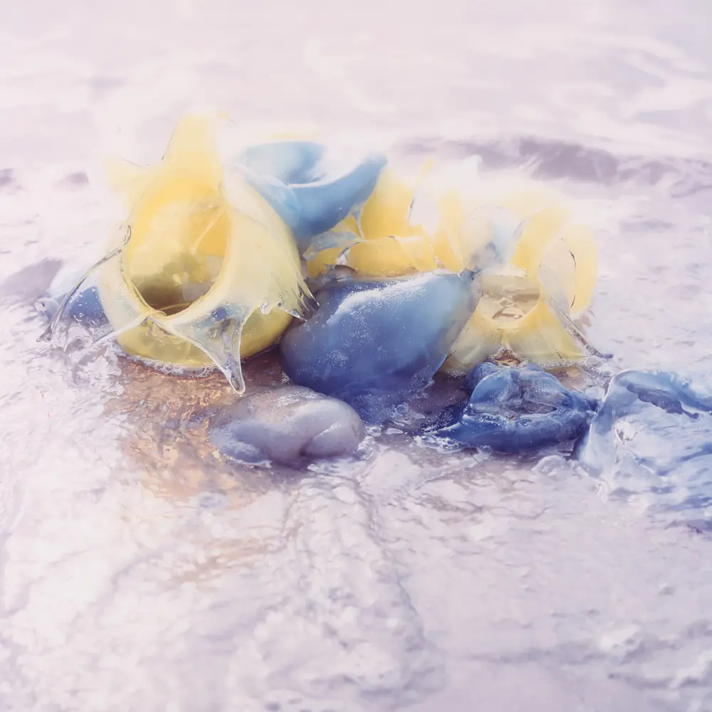 Margriet Smulders (1955)