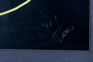 Theos - Zeefdruk op papier, Echtpaar op tandem - Ingelijst kopen? Bied vanaf 35!