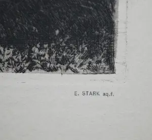 Elias Stark - Het Gein bij Abcoude, 1888 - ets kopen? Bied vanaf 45!