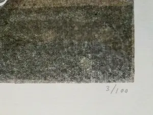 Hans Koopman - Litho kopen? Bied vanaf 10!