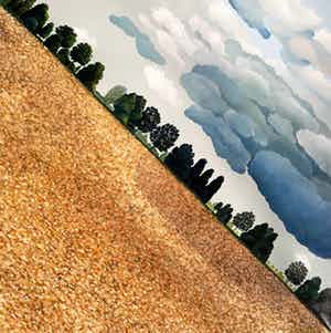 Erna van Mondfrans - Landschap met karweizaad, olieverf op doek (groot) verkocht voor € 275!