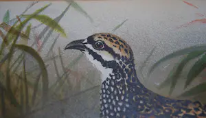 Edward Neale - Patrijzen - lithografie 19e eeuw kopen? Bied vanaf 35!