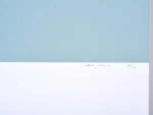 Maurits Van Saene - Zeefdruk - Gesigneerd - 70x50 cm - 1987 kopen? Bied vanaf 225!