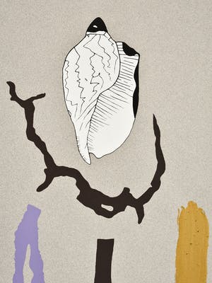 Niet of onleesbaar gesigneerd - Sea Shells kopen? Bied vanaf 1!