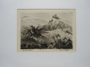 Dick van Luijn - DISTEL kopen? Bied vanaf 40!