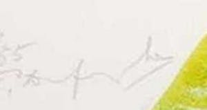 Pieter Defesche - Litho op papier, Zonder titel (Groot) kopen? Bied vanaf 1!