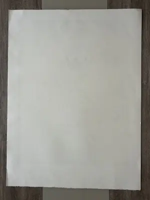 Francois Ledan - Lithographie "Ballooning over Central Park" kopen? Bied vanaf 105!