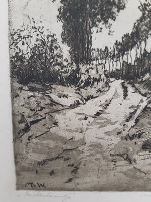 Martin van Waning - "Berkenlaantje" kopen? Bied vanaf 39!