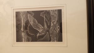 Renaat Bosschaert - 5 houtgravuren kopen? Bied vanaf 100!