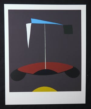 Doris Groeneveld - Zeefdruk, Utsynistadur kopen? Bied vanaf 1!