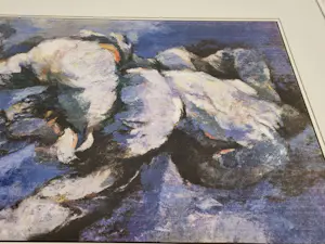 Hans Lie - Judo uchi mata kopen? Bied vanaf 20!