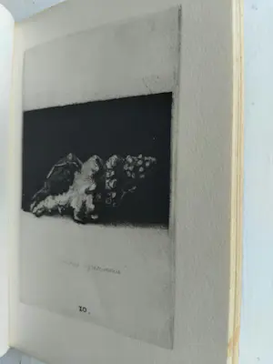 Simon Koene - Schelpenboekje kopen? Bied vanaf 325!