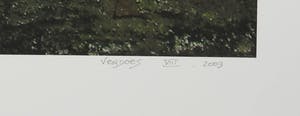 Mark Verdoes - Giclee, Buddhalove - Fallen Angels kopen? Bied vanaf 1!