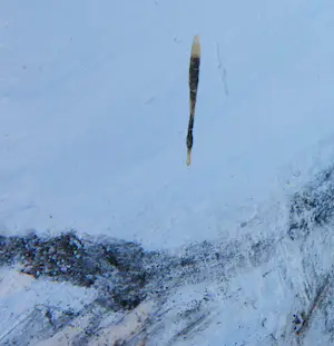 Aart Roos - Acryl op papier, Pelikaan - Ingelijst (Groot) kopen? Bied vanaf 1!