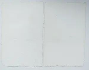 Bernard Alligand - Twee werken: Caresses d´ été en Vestiges kopen? Bied vanaf 49!