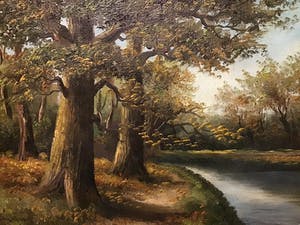 Niet of onleesbaar gesigneerd - Bos met water kopen? Bied vanaf 1!