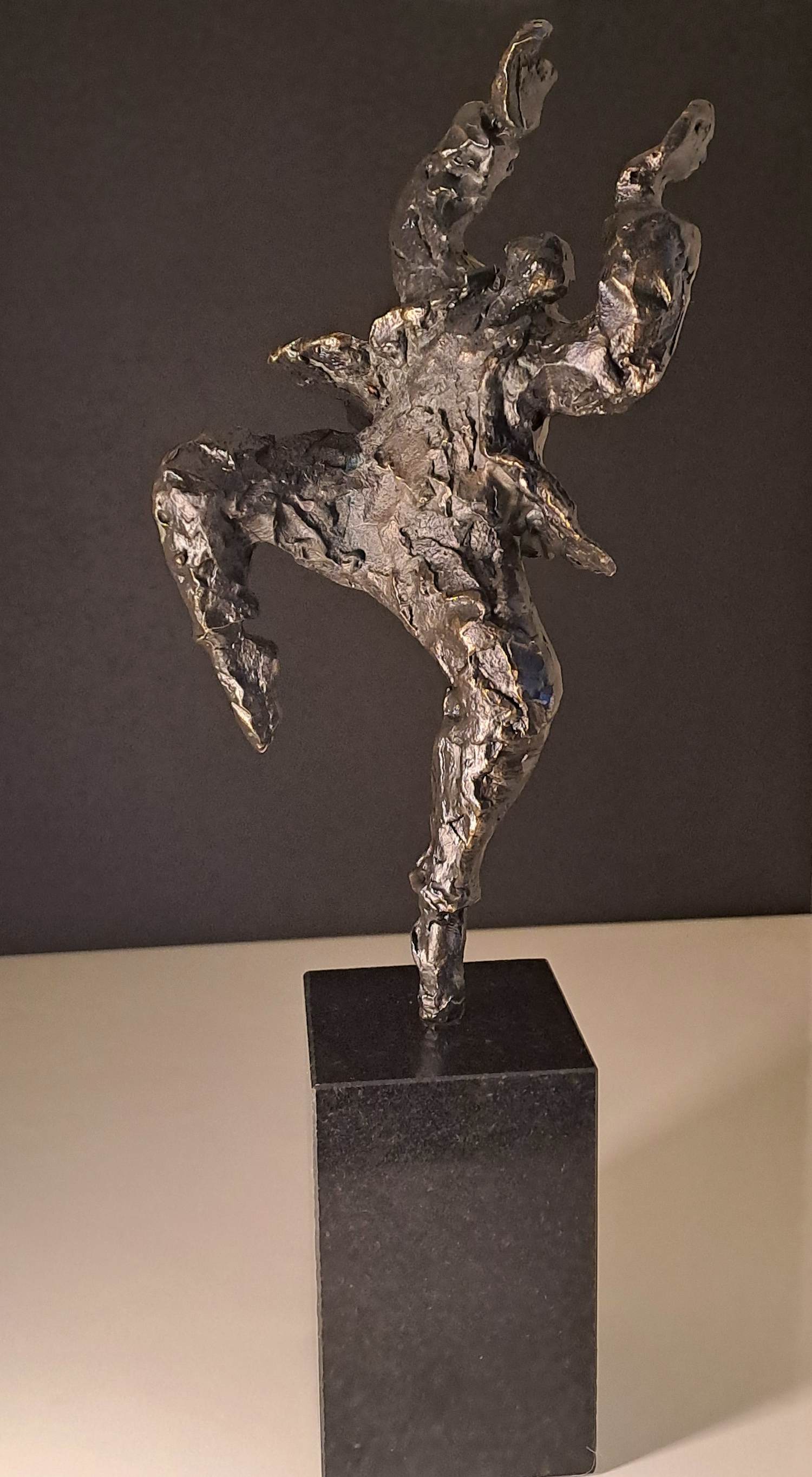 Wim Heesakkers - Dance kopen? Bied vanaf 50!