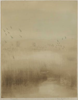 Abe Gerlsma - Ets en aquatint, Plas met riet - Ingelijst kopen? Bied vanaf 50!