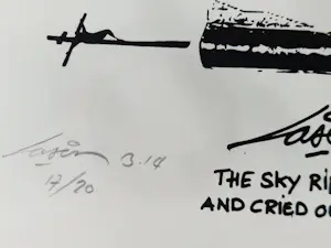 Laser 3.14 - Street artist & visual poet - chromolitho "Sometimes hope ..." kleine oplage! kopen? Bied vanaf 65!