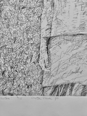 Anton Vrede - Chitra kopen? Bied vanaf 12!