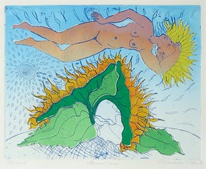 Herman van Valen - Kleurenets, Zonnebloemen - Ingelijst kopen? Bied vanaf 1!