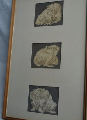 Klaas Pijlman - 3 Tekeningen , Fantasiedieren – gesigneerd & ingelijst - 1972 kopen? Bied vanaf 10!