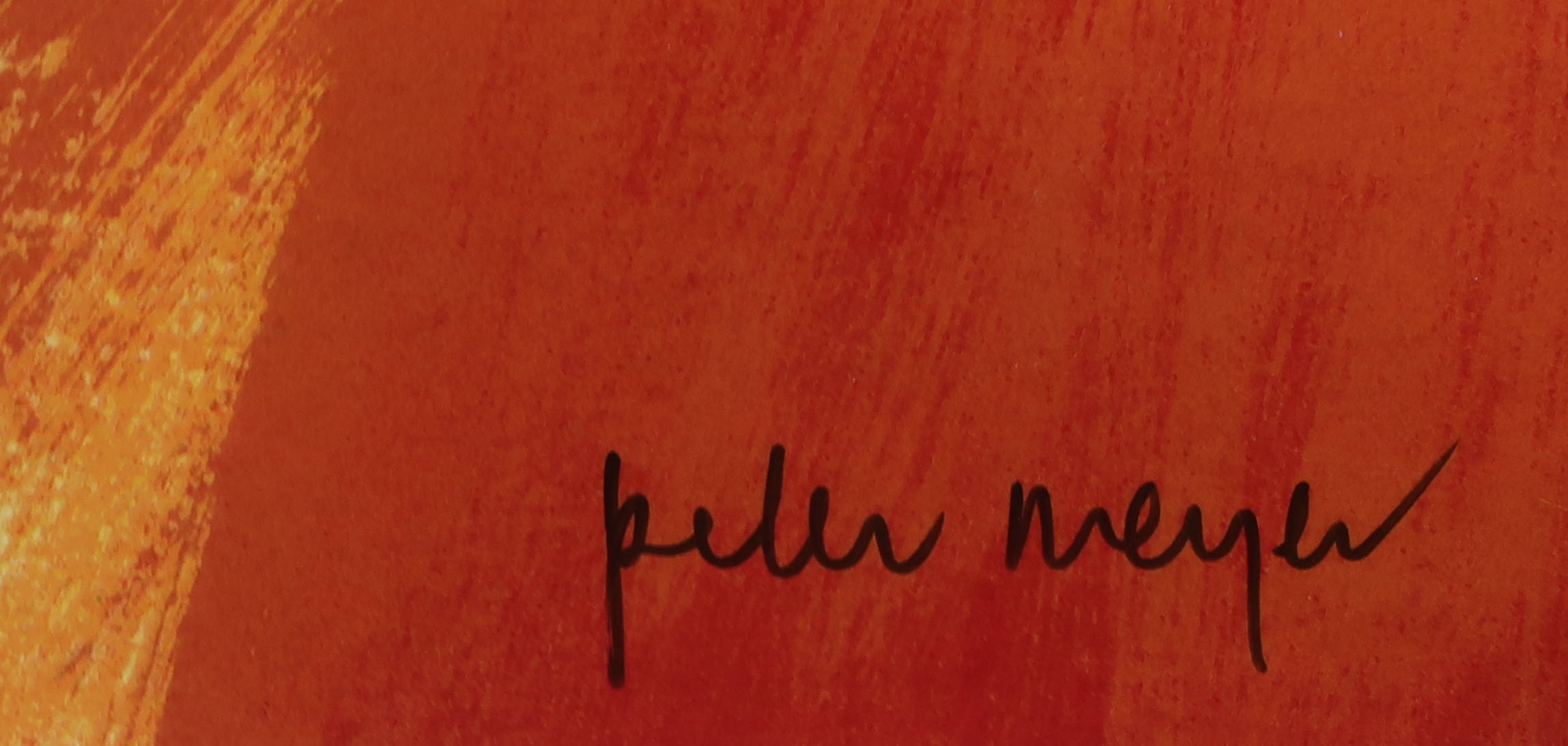 Peter Meijer - Zeefdruk, Pascalle - Ingelijst (Groot) kopen? Bied vanaf 100!