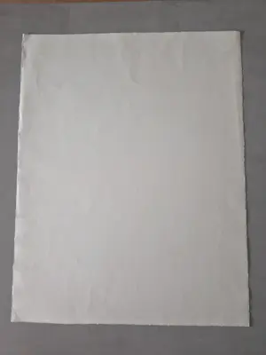 Rein Dool - Grote Kleurenlitho - Kop stukken - 1993 - bep. oplage (100) - nieuwstaat kopen? Bied vanaf 50!