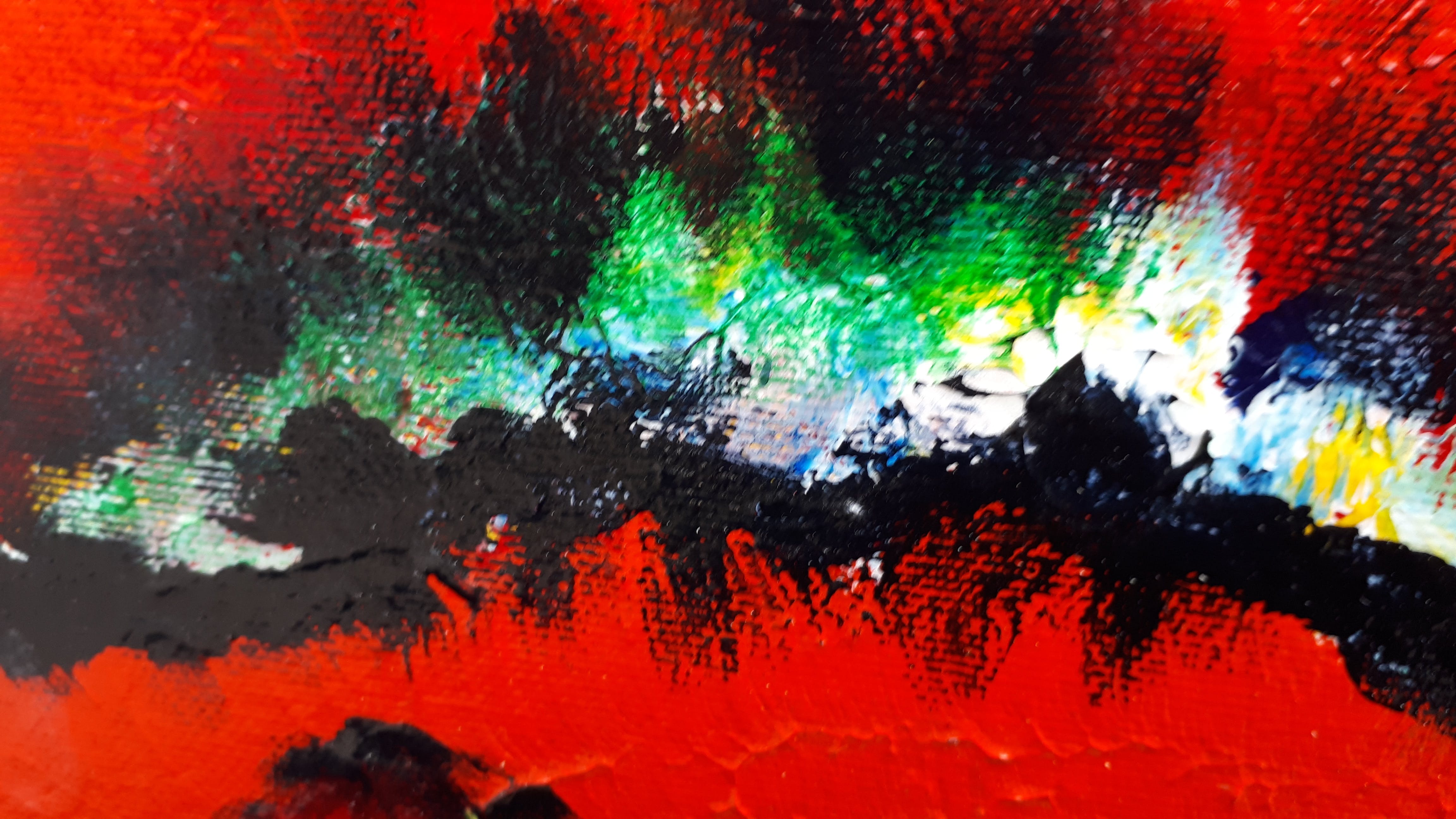 Anke Peddemors - Klaprozenveld kopen? Bied vanaf 40!