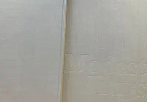 Modest Huys - Leven en werk van Modest Huys (1874-1932) kopen? Bied vanaf 40!