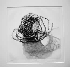 Gerard van Rooy - Kluwen verkocht voor € 50!