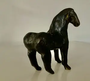 Guus Hellegers - Trots paardje kopen? Bied vanaf 400!