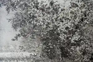 Reinder Homan - LANDSCHAP vendu pour 65€ !