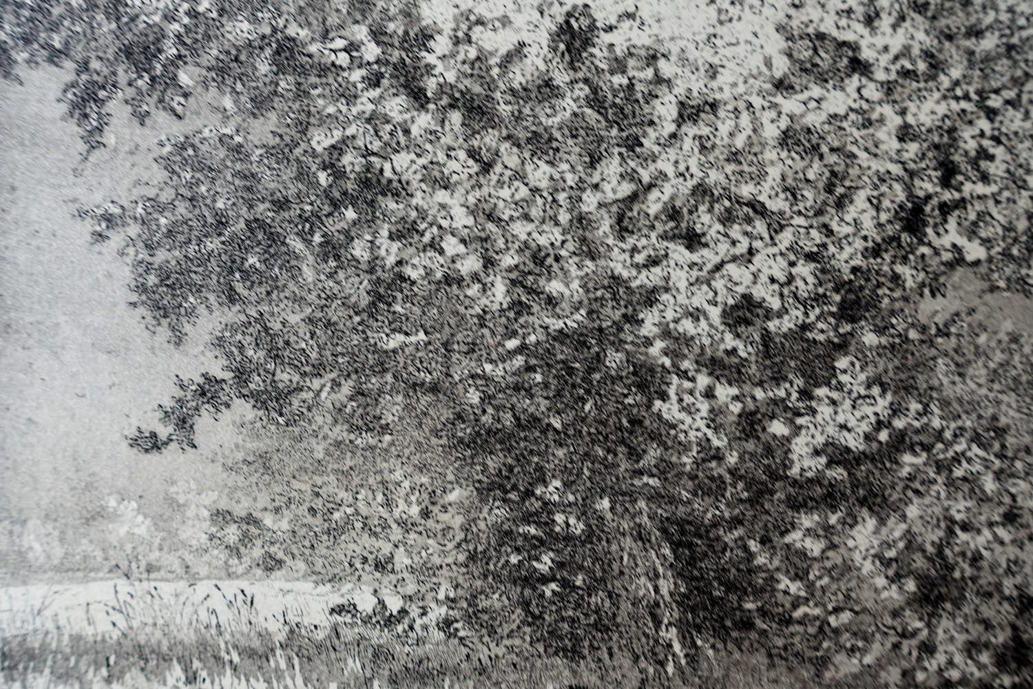 Reinder Homan - LANDSCHAP verkocht voor € 65!