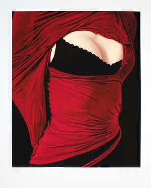 Willi Kissmer - Kleurengiclee SIMPLY RED Handgesigneerd. verkocht voor € 95!